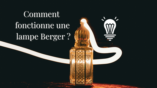 Comment fonctionne une lampe Berger ?